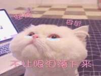 昆山聚垒商贸有限公司