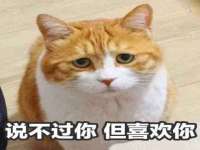 昆山聚垒商贸有限公司