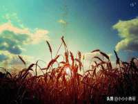 昆山聚垒商贸有限公司