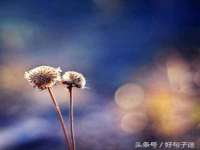 昆山聚垒商贸有限公司
