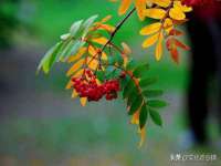 昆山聚垒商贸有限公司