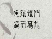 昆山聚垒商贸有限公司