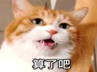 昆山聚垒商贸有限公司