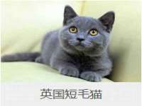 昆山聚垒商贸有限公司