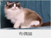 昆山聚垒商贸有限公司