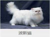 昆山聚垒商贸有限公司