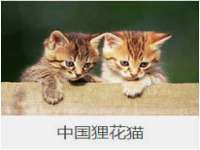 昆山聚垒商贸有限公司
