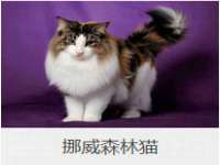 昆山聚垒商贸有限公司