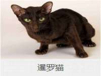 昆山聚垒商贸有限公司