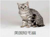昆山聚垒商贸有限公司