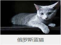 昆山聚垒商贸有限公司