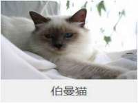 昆山聚垒商贸有限公司