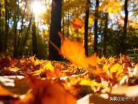 昆山聚垒商贸有限公司