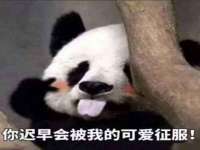 昆山聚垒商贸有限公司