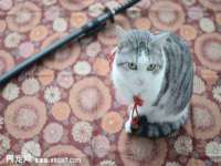 昆山聚垒商贸有限公司