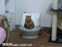 昆山聚垒商贸有限公司