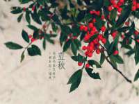 昆山聚垒商贸有限公司