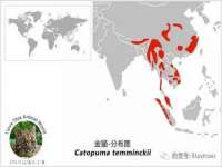 昆山聚垒商贸有限公司