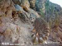 昆山聚垒商贸有限公司