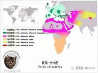 昆山聚垒商贸有限公司