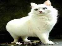 昆山聚垒商贸有限公司