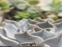 昆山聚垒商贸有限公司