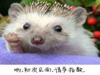 昆山聚垒商贸有限公司