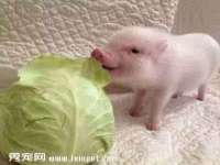 昆山聚垒商贸有限公司