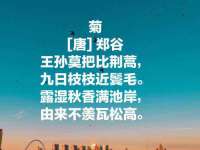 昆山聚垒商贸有限公司