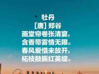 昆山聚垒商贸有限公司