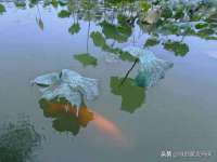 昆山聚垒商贸有限公司