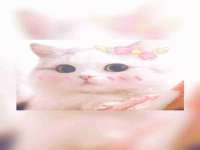 昆山聚垒商贸有限公司