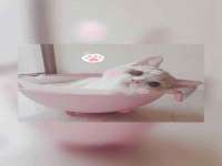 昆山聚垒商贸有限公司