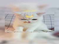 昆山聚垒商贸有限公司