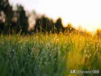 昆山聚垒商贸有限公司