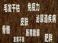 昆山聚垒商贸有限公司