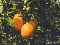 昆山聚垒商贸有限公司
