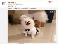 昆山聚垒商贸有限公司