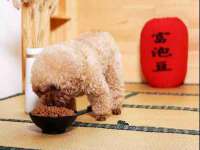 昆山聚垒商贸有限公司