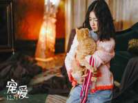 昆山聚垒商贸有限公司