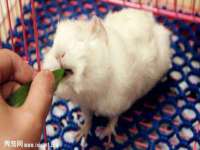 昆山聚垒商贸有限公司