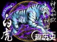 昆山聚垒商贸有限公司