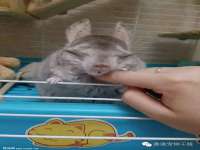 昆山聚垒商贸有限公司