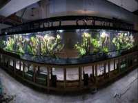 昆山聚垒商贸有限公司