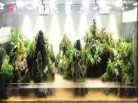 昆山聚垒商贸有限公司