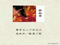 昆山聚垒商贸有限公司