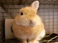 昆山聚垒商贸有限公司