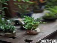 昆山聚垒商贸有限公司