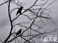 昆山聚垒商贸有限公司