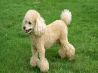 昆山聚垒商贸有限公司